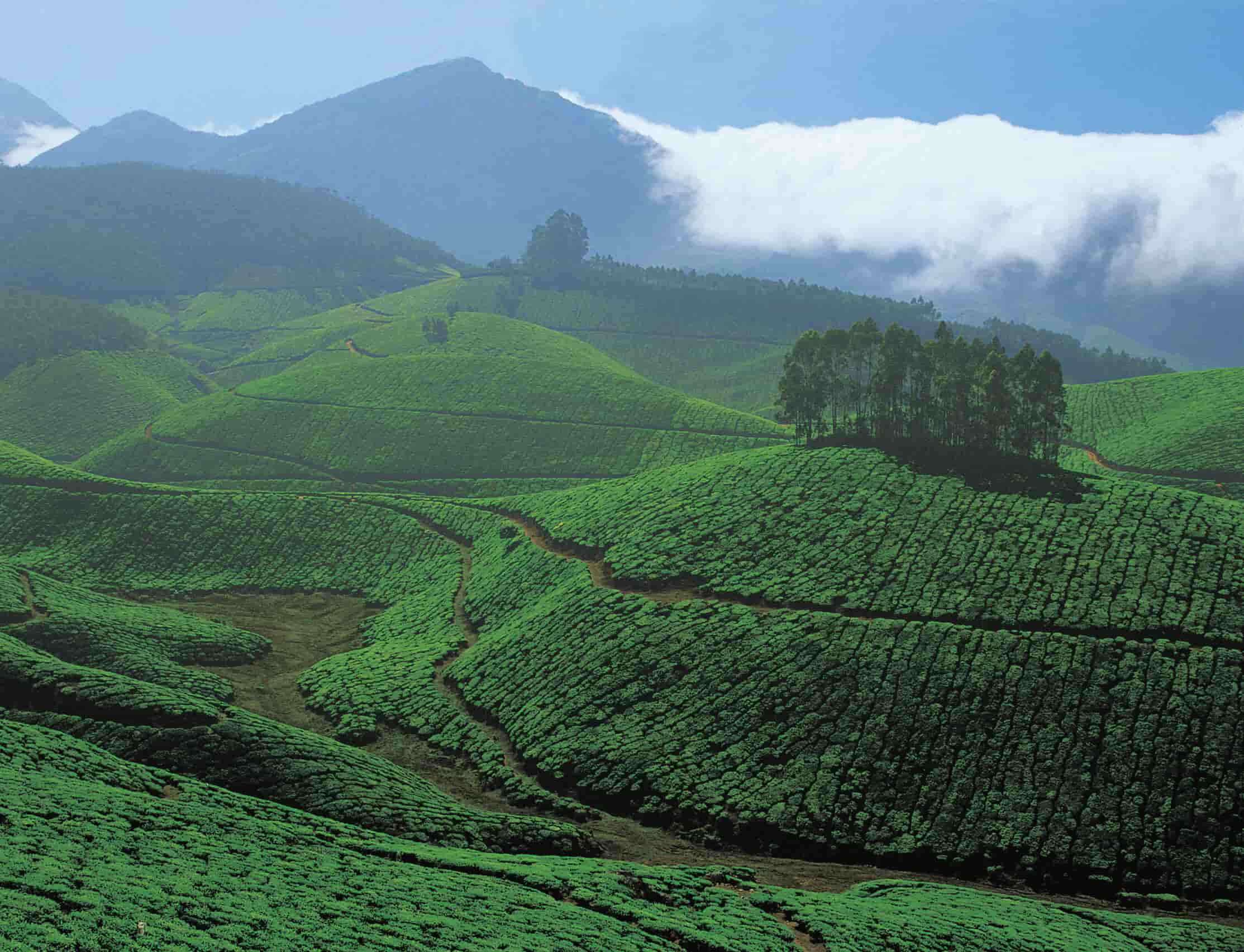 Kerala Holidays