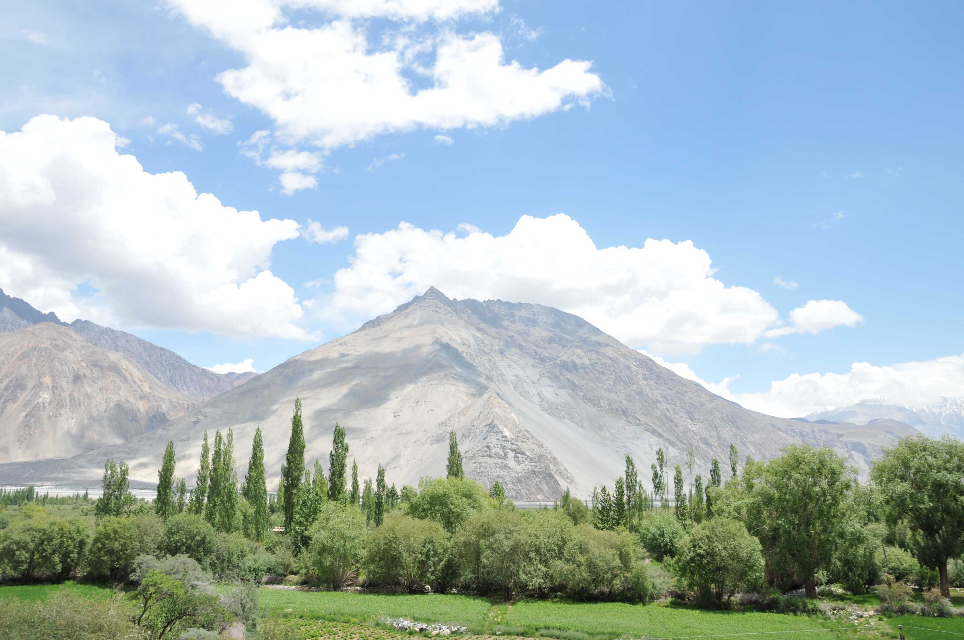 Ladakh Tour