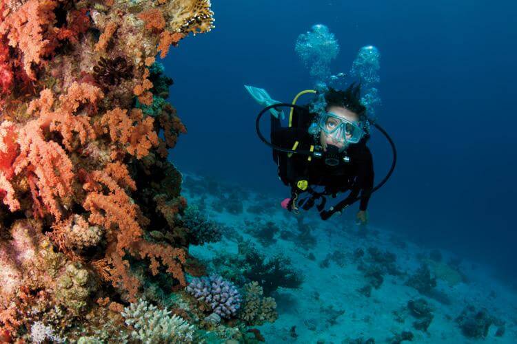 World's Best Diving Destinations