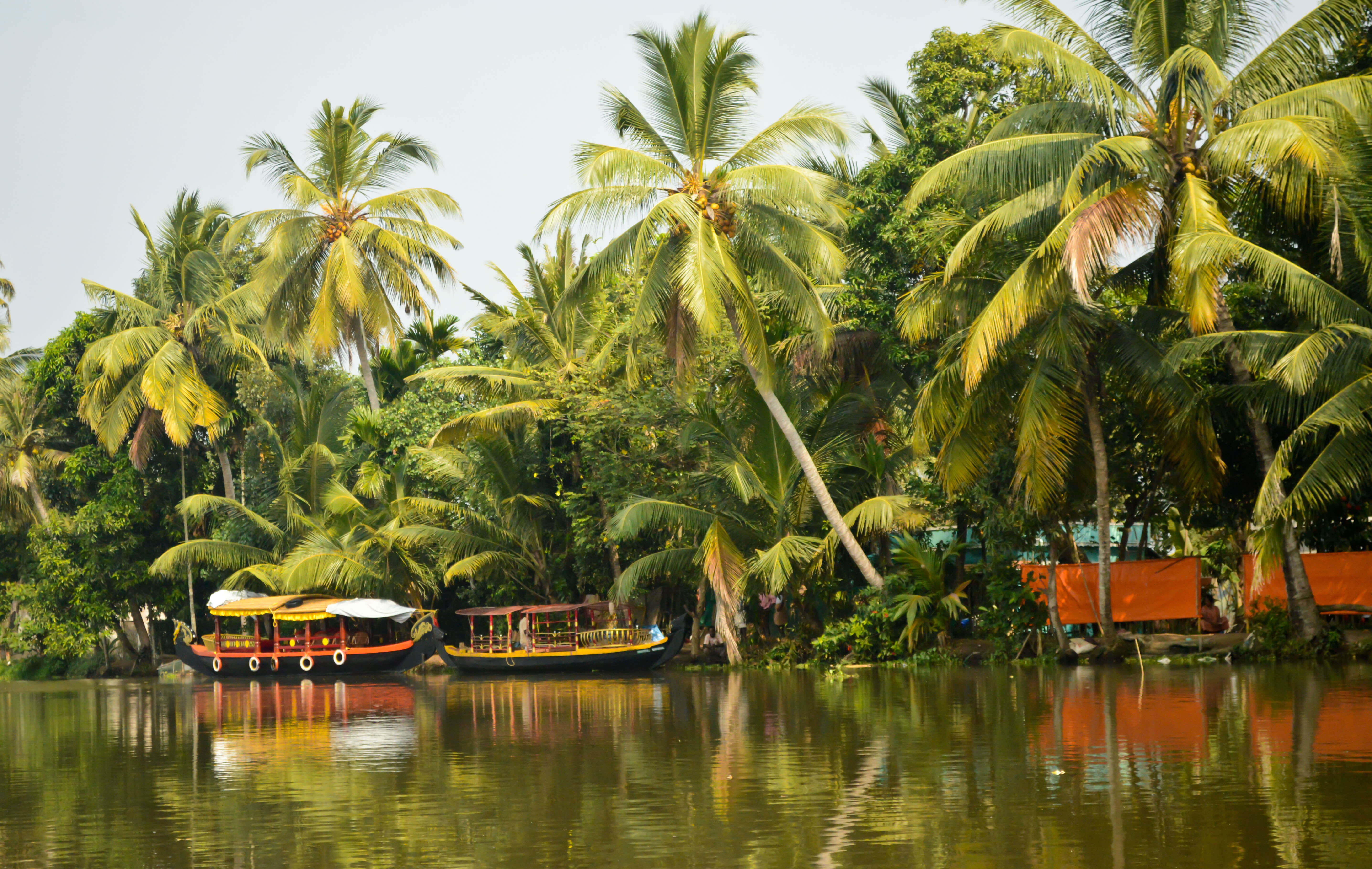 Alleppey Backwaters - Kerala Alleppey Backwaters - Kerala