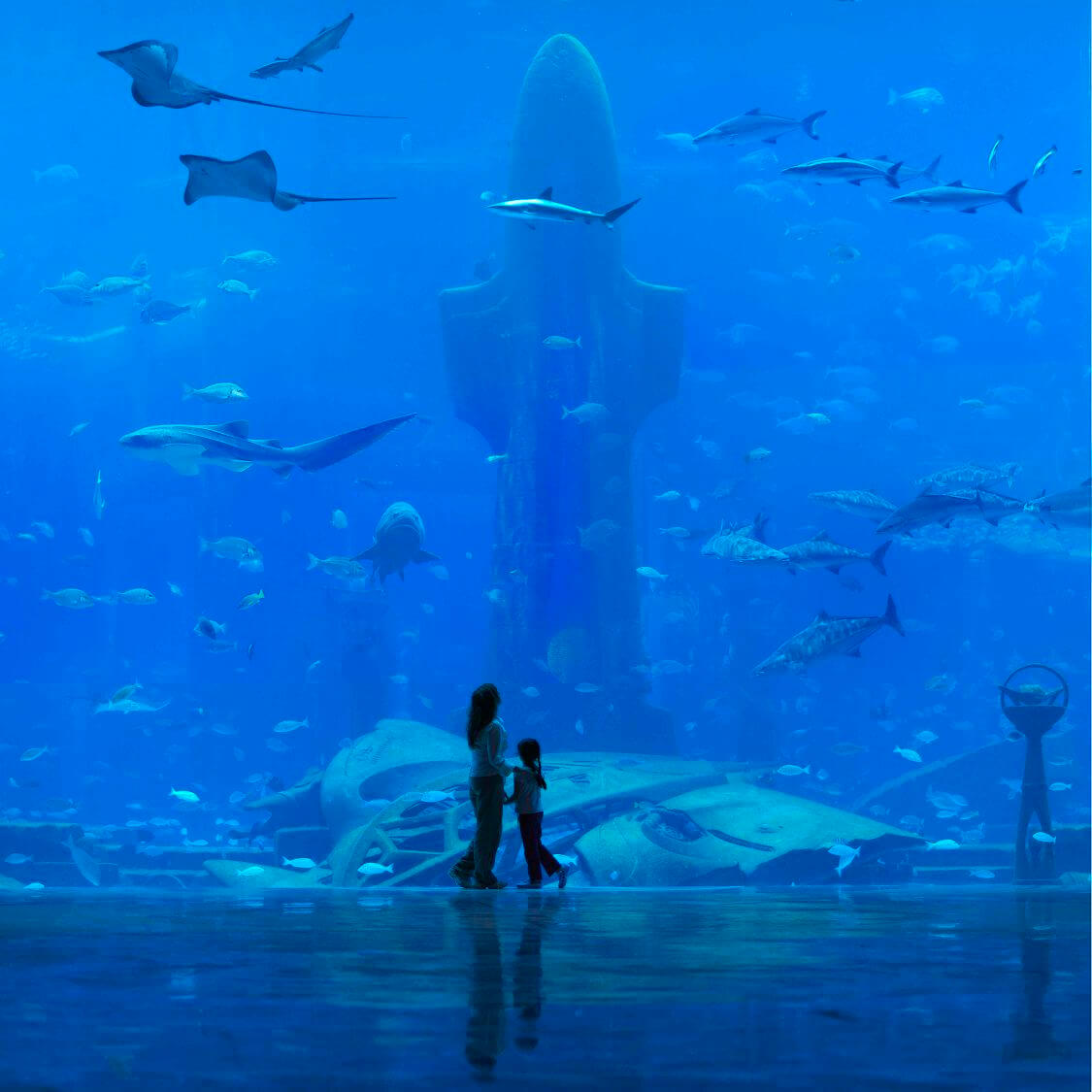 Atlantis On The Palm Jumeirah