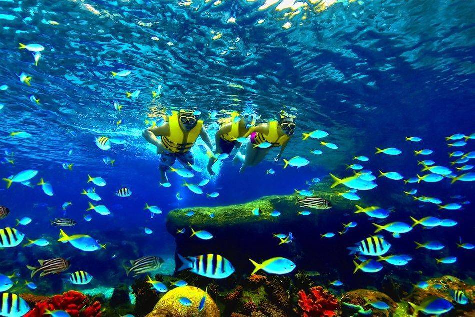 Singapore Oceanarium - Honeymoon in Singapore