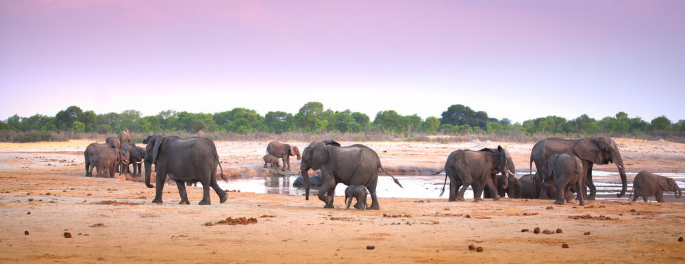 Africa Holidays