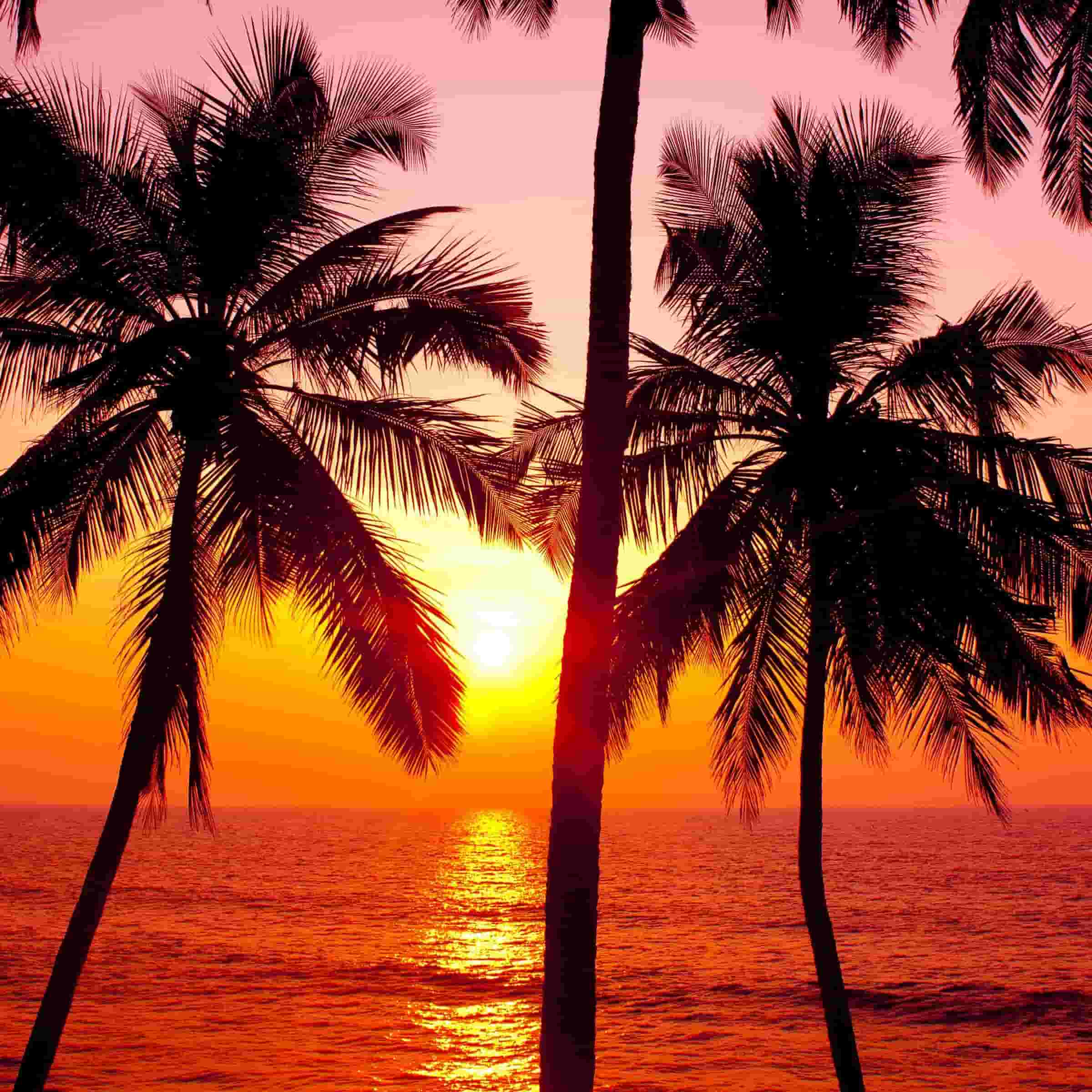 Awesome Goa