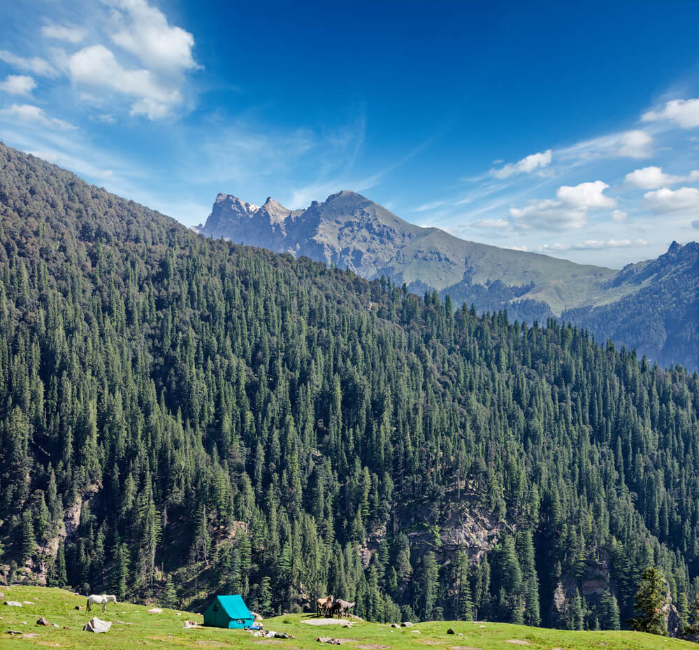 Ladakh Tours