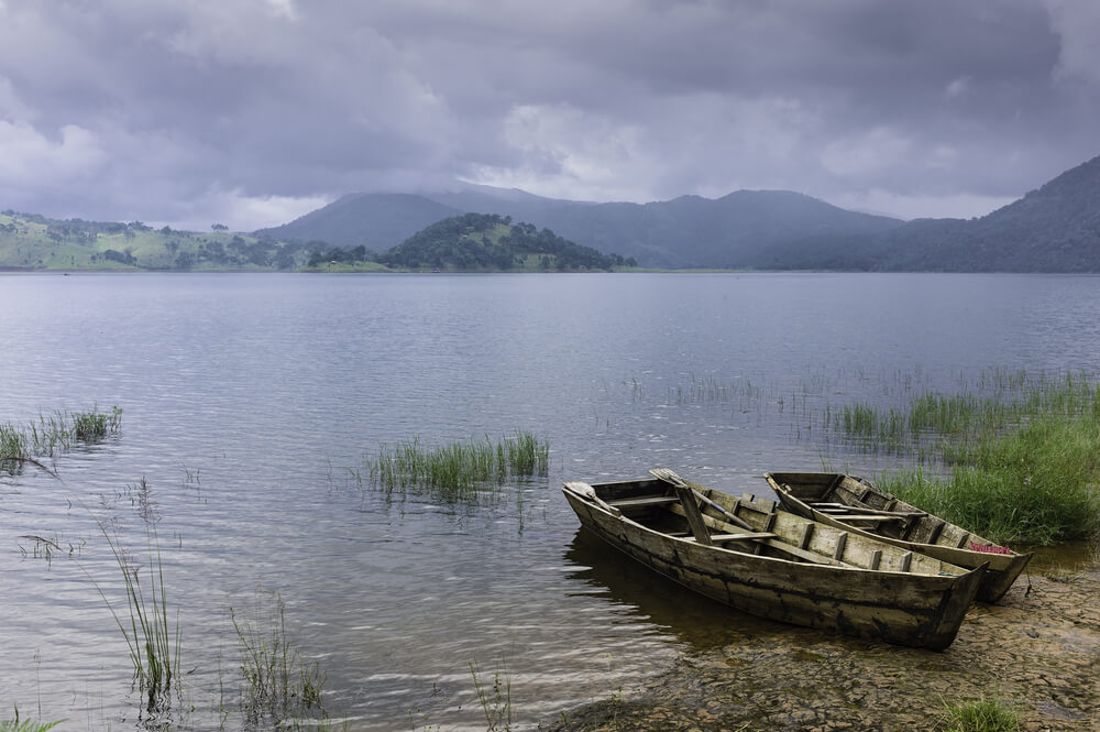 Overcast Morning near Shillong, Meghalaya, North East India