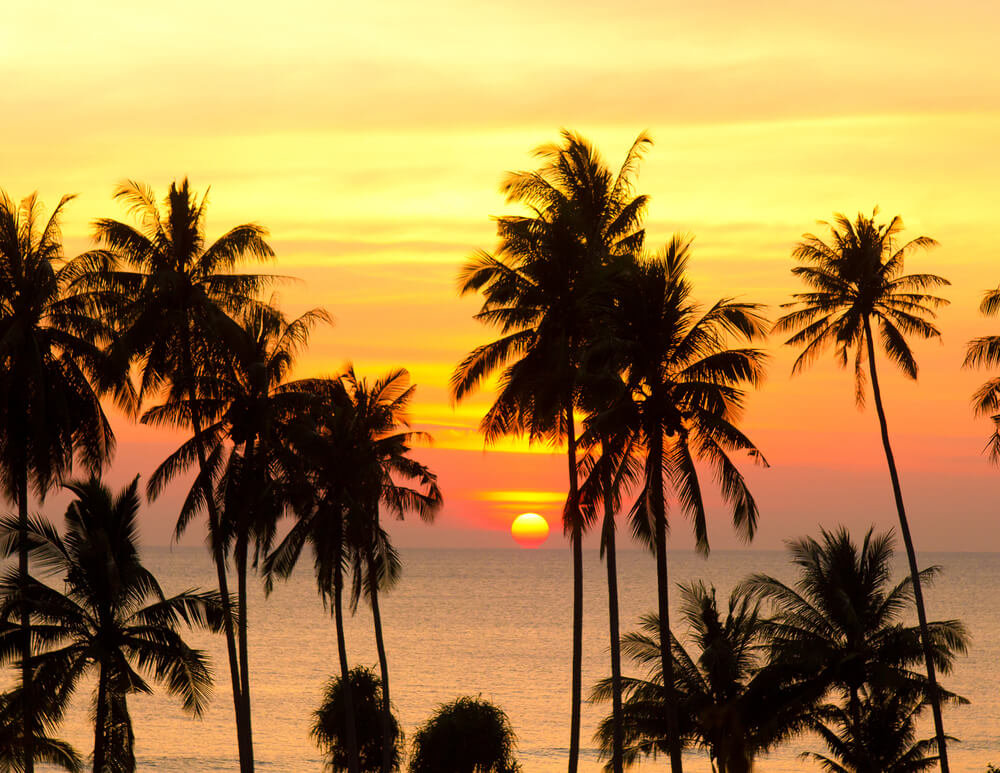 Goa Sunset - Travel Destinations in India