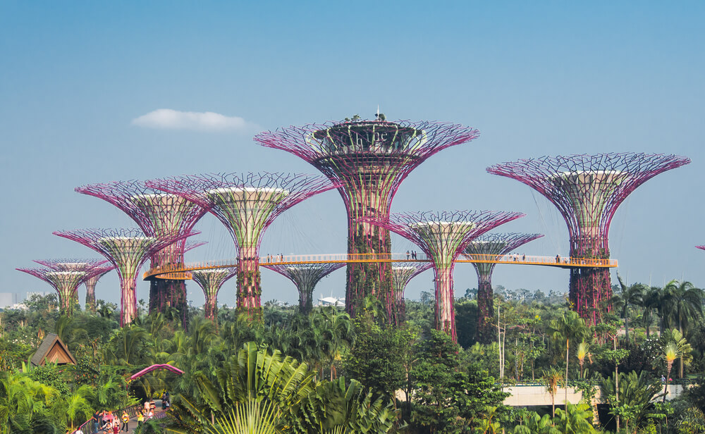 SINGAPORE - Silhouette of Gardens by the Bay
