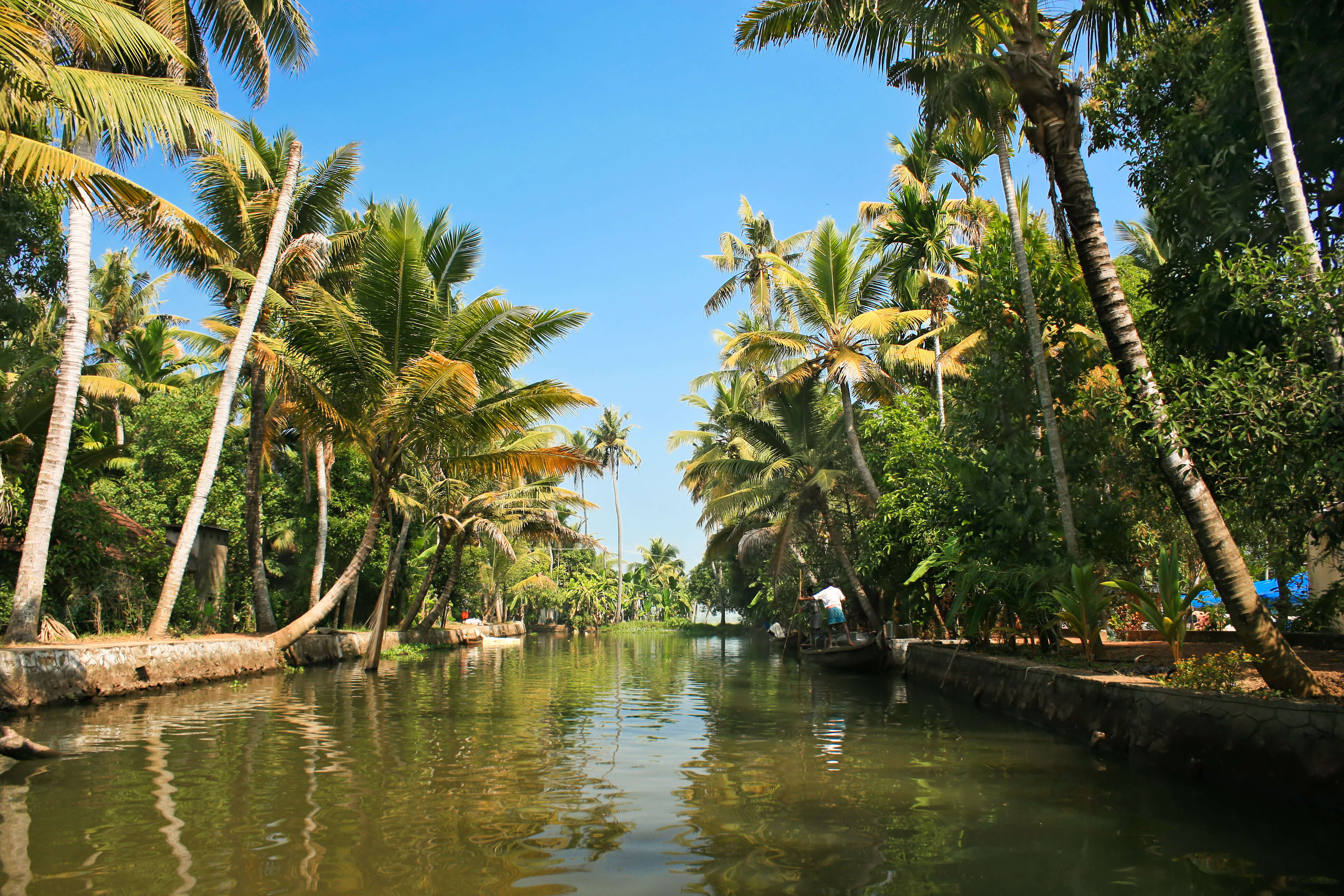 Rendezvous in Kerala