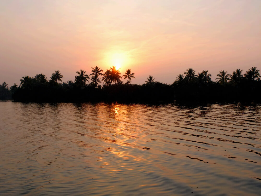Lake in the Backwaters of Kerala
