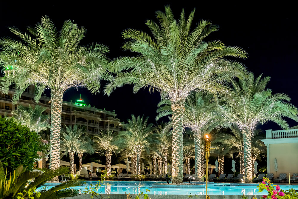 Island of Palm Jumeirah - Dubai