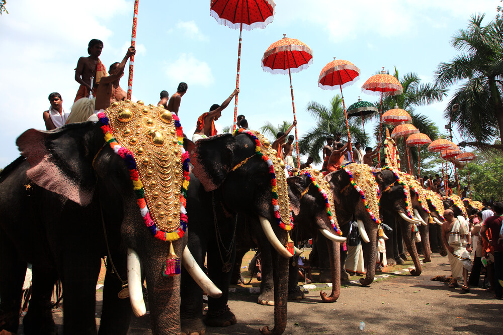 Thrissur Pooram - Temple Festivals in Kerala