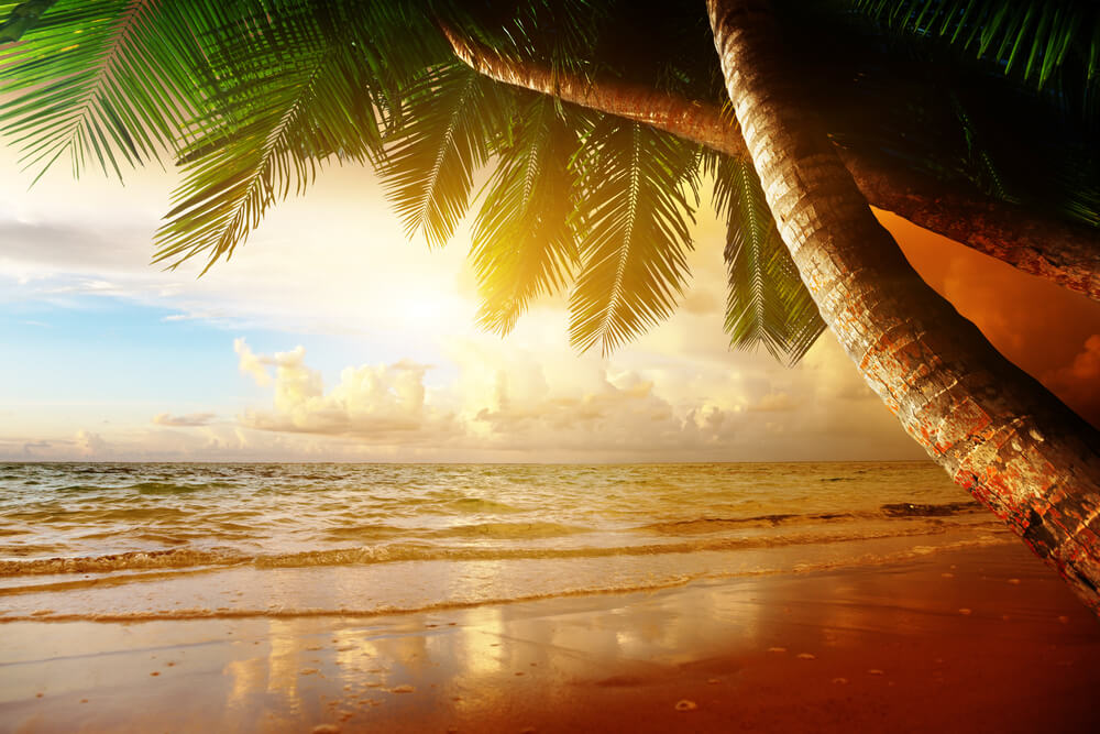 Vacation at Caribbean Beach