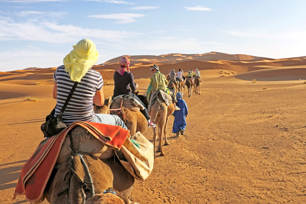 Camel safari in Rajasthan