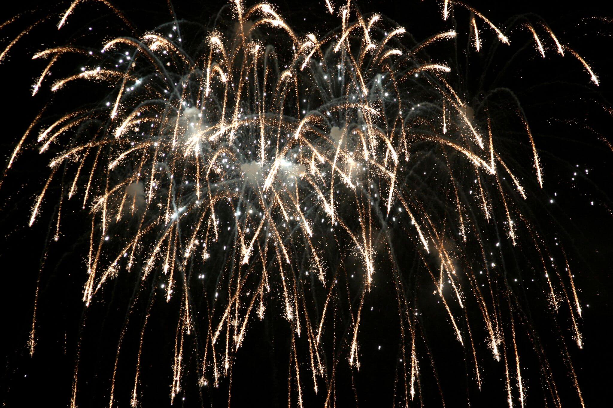 Goa - New year Eve 1