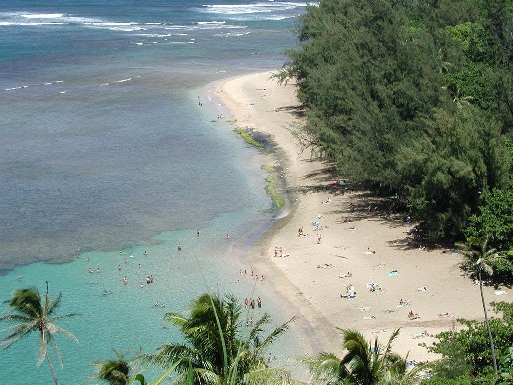 The Pacific Harbour Beach