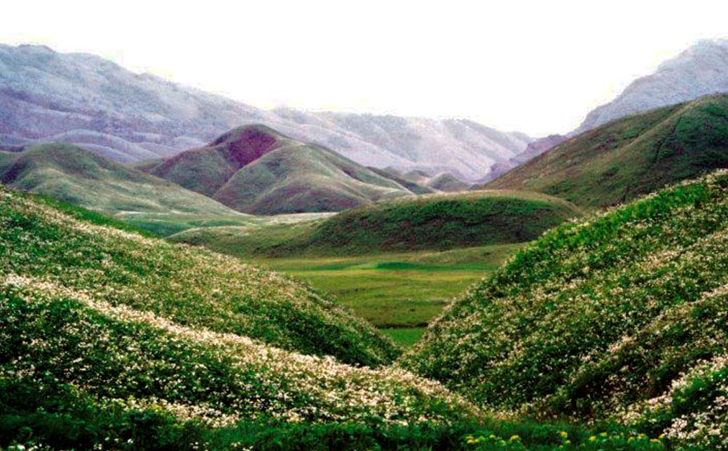 Dzouku Valley