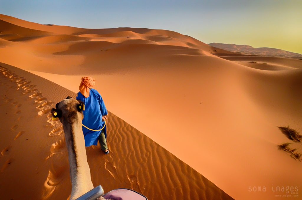 Sahara