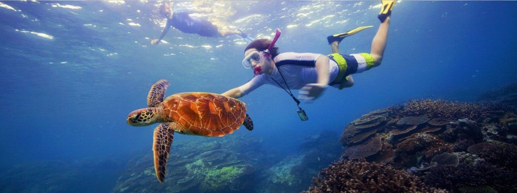 Andaman and Nicobar - Snorkeling