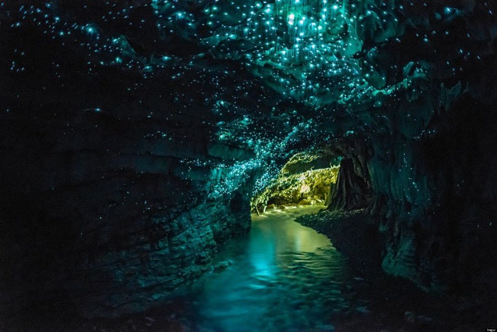 Glow worm Caves - New Zealand