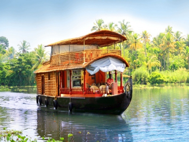 Backwaters of Goa