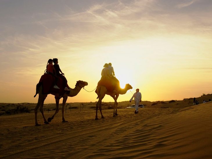 Dubai-Safari