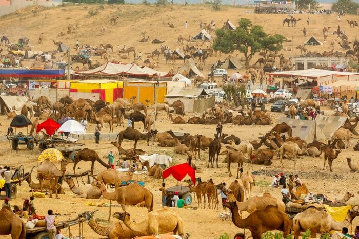 places to visit in Rajasthan Pushkar - Rajasthan