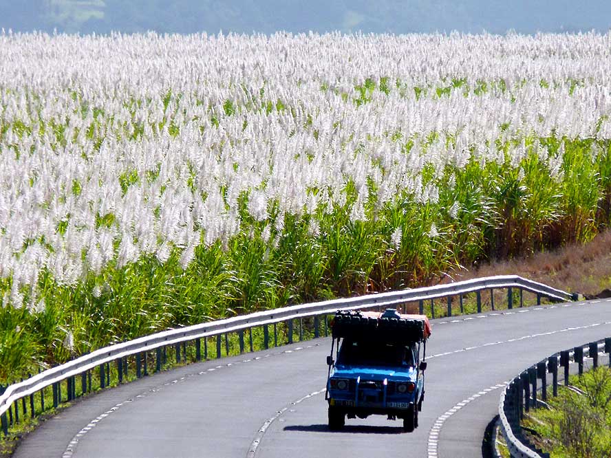 Things to do in Mauritius beyond the beaches A Bollywood-style drive among the sugarcane fields