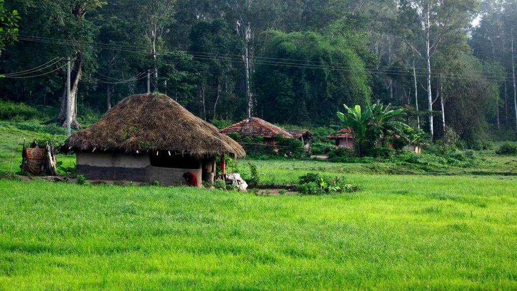 Weekend Getaway Wayanad