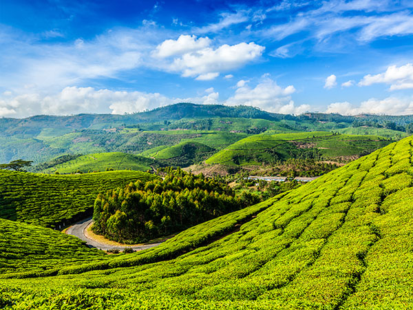 Beautiful places in the world Munnar, India