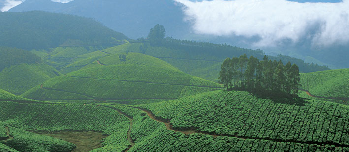 Wayanad, Kerala