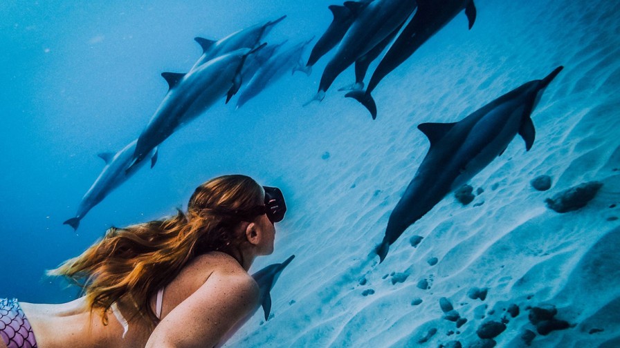Bimini, Bahamas