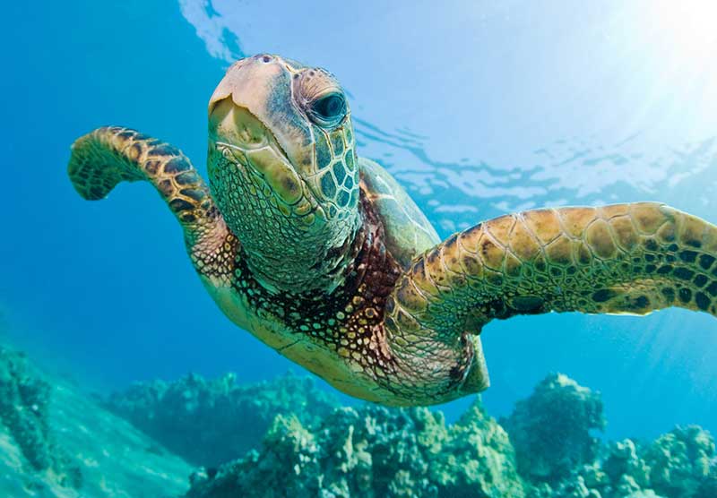 Maui, Hawaii