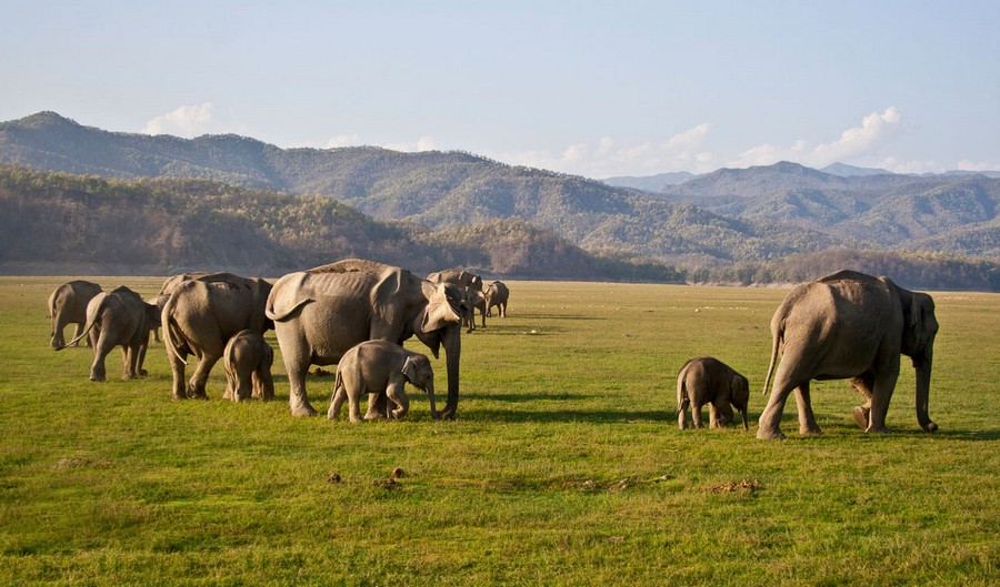 Jim Corbett Park
