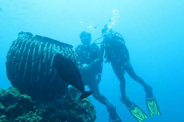 Top 30 Incredible Things To Do In Bali - The Island Of The Gods Bali - Diving