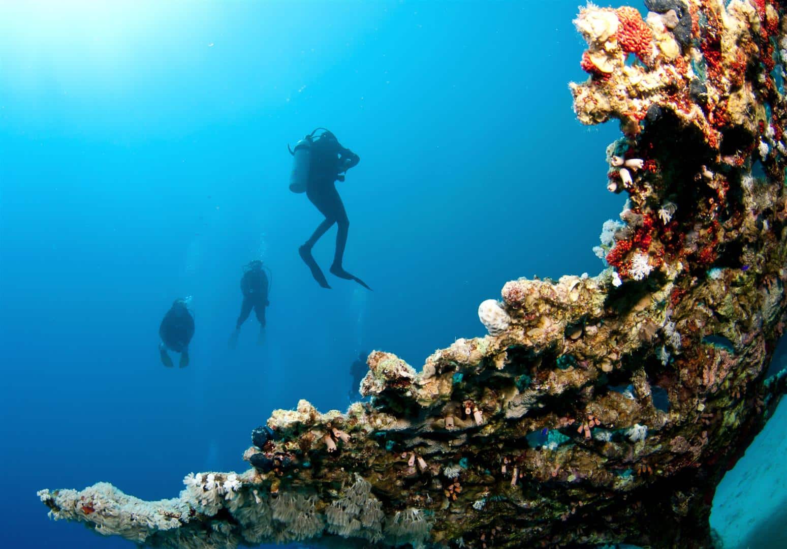 Havelock Island - Scuba Diving in Andaman