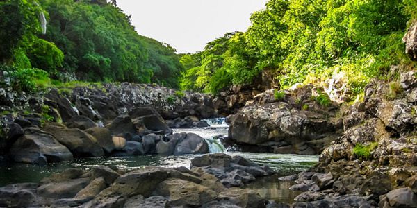 Black River Gorges National Park Black River Gorges National Park, Places to visit in Mauritius