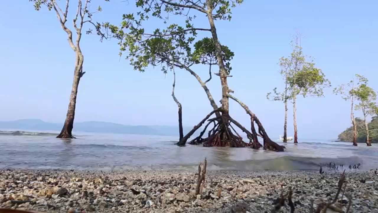 Chidiya Tapu, Port Blair