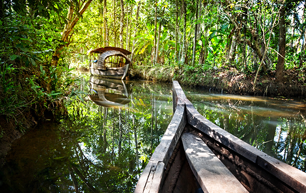 Top 30 Things to do in Kerala Serene beauty - Kerala