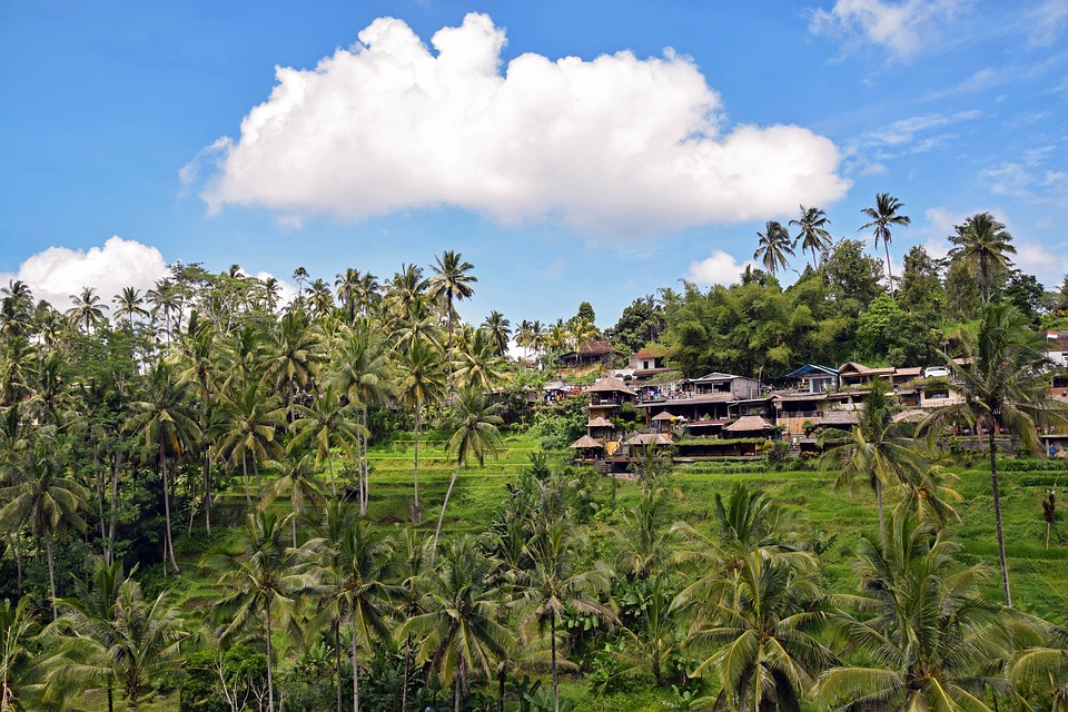 Ubud, Bali Ubud, Bali