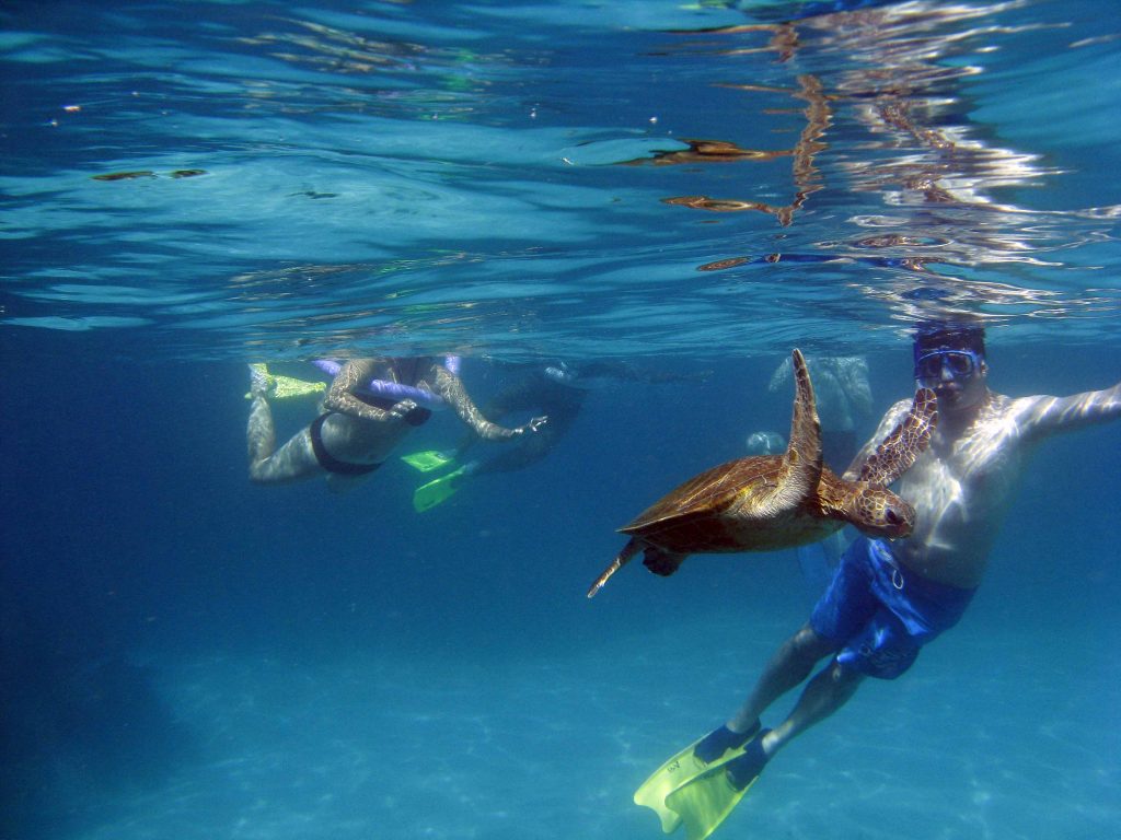 Snorkelling in Goa Snorkelling in Goa