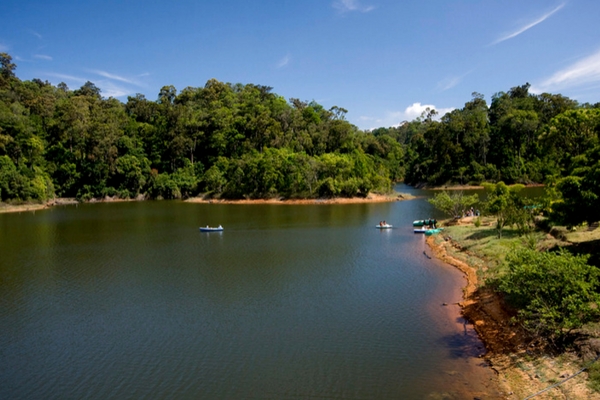 Paradisiacal Gavi