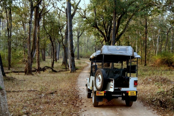 Tholpetty and Muthanga - Places to visit in Wayanad