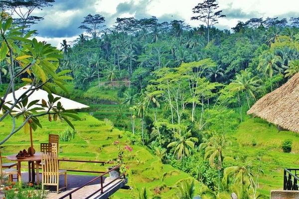 Bengkala Village in Bali
