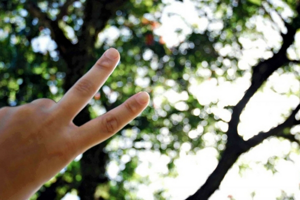 The Peace Sign, Hand Gestures