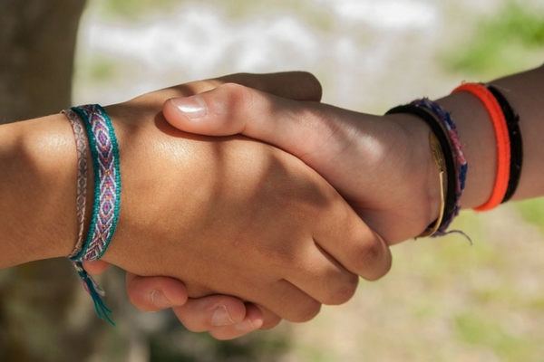 The Shake Hand