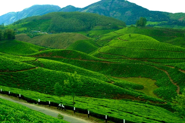 Peerumedu, Thekkady