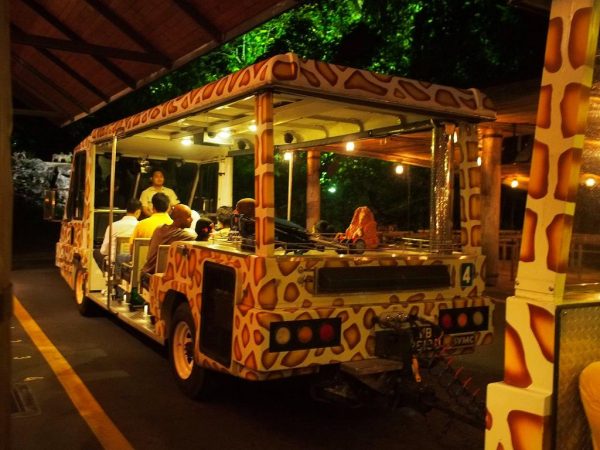 Nocturnal Wildlife Park Singapore