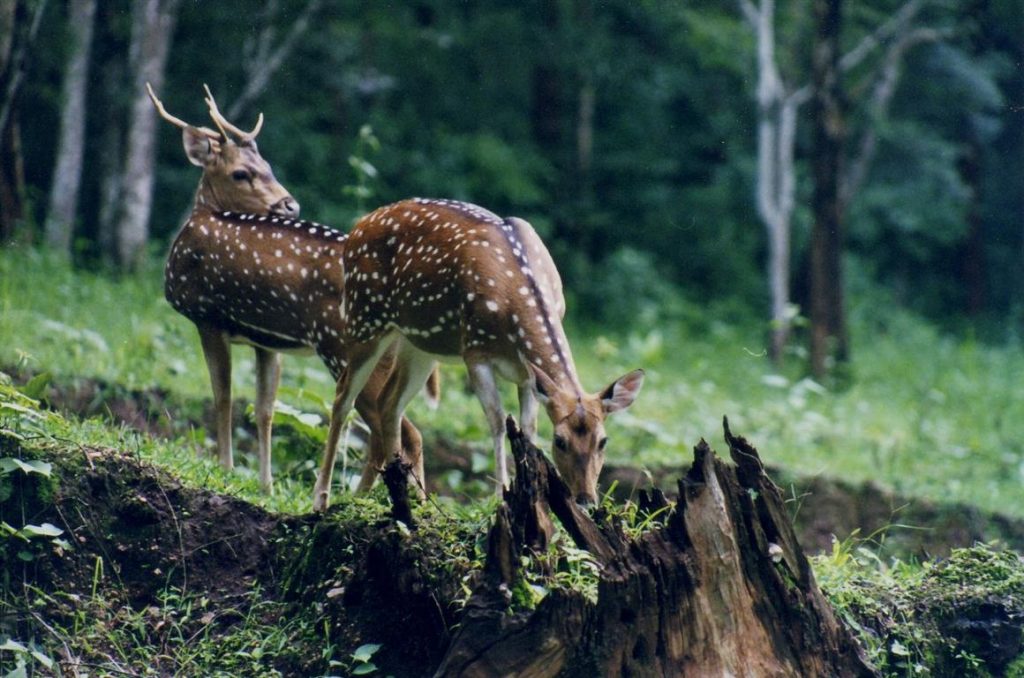 Of These 100 Places To Visit In Goa, How Many Have you Been To?