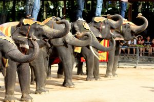 KhaoKheow in Pattaya - Top 10 Things to do in Pattaya KhaoKheow in Pattaya - Top 10 Things to do in Pattaya